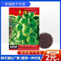 廠家批發代發快速耐抽苔四季種植孢子甘藍包菜菜種子耐熱耐寒蔬菜